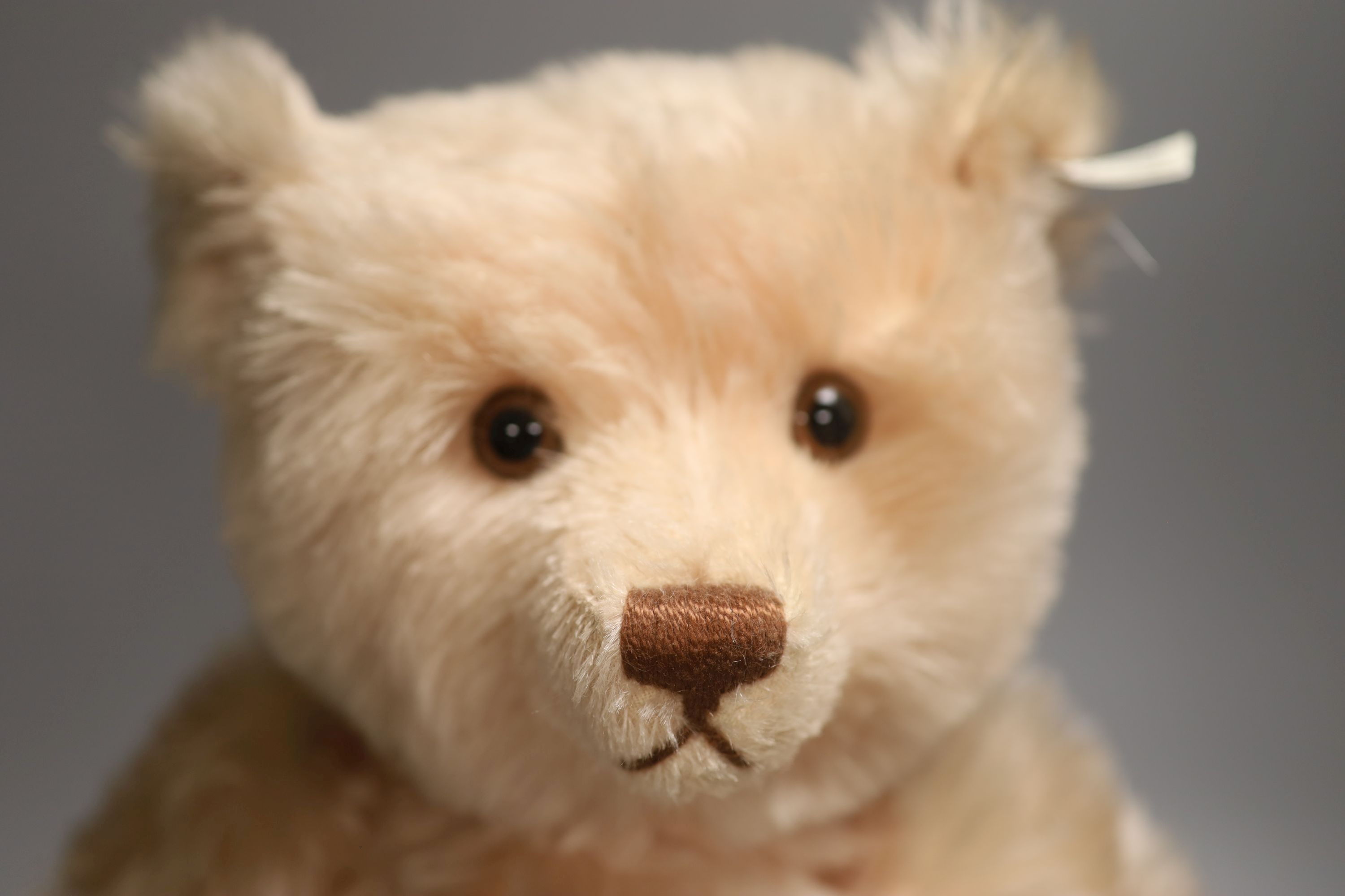 Steiff Teddy Rose replica, box, certificate